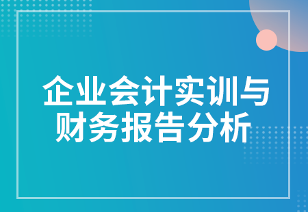 企業會(huì)計實訓與财務報告分析