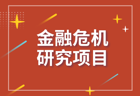 金融危機研究項目